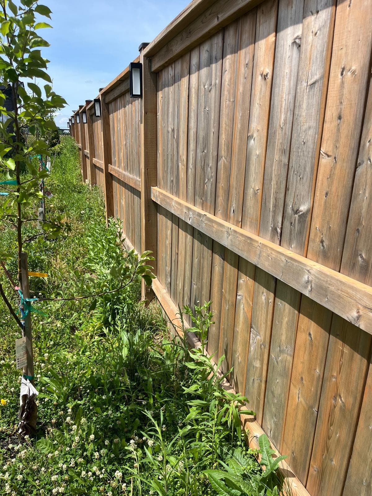 Fence