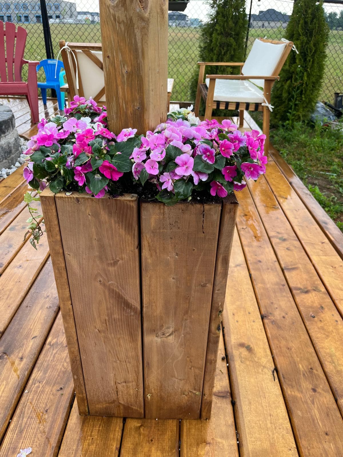 Flowers pot