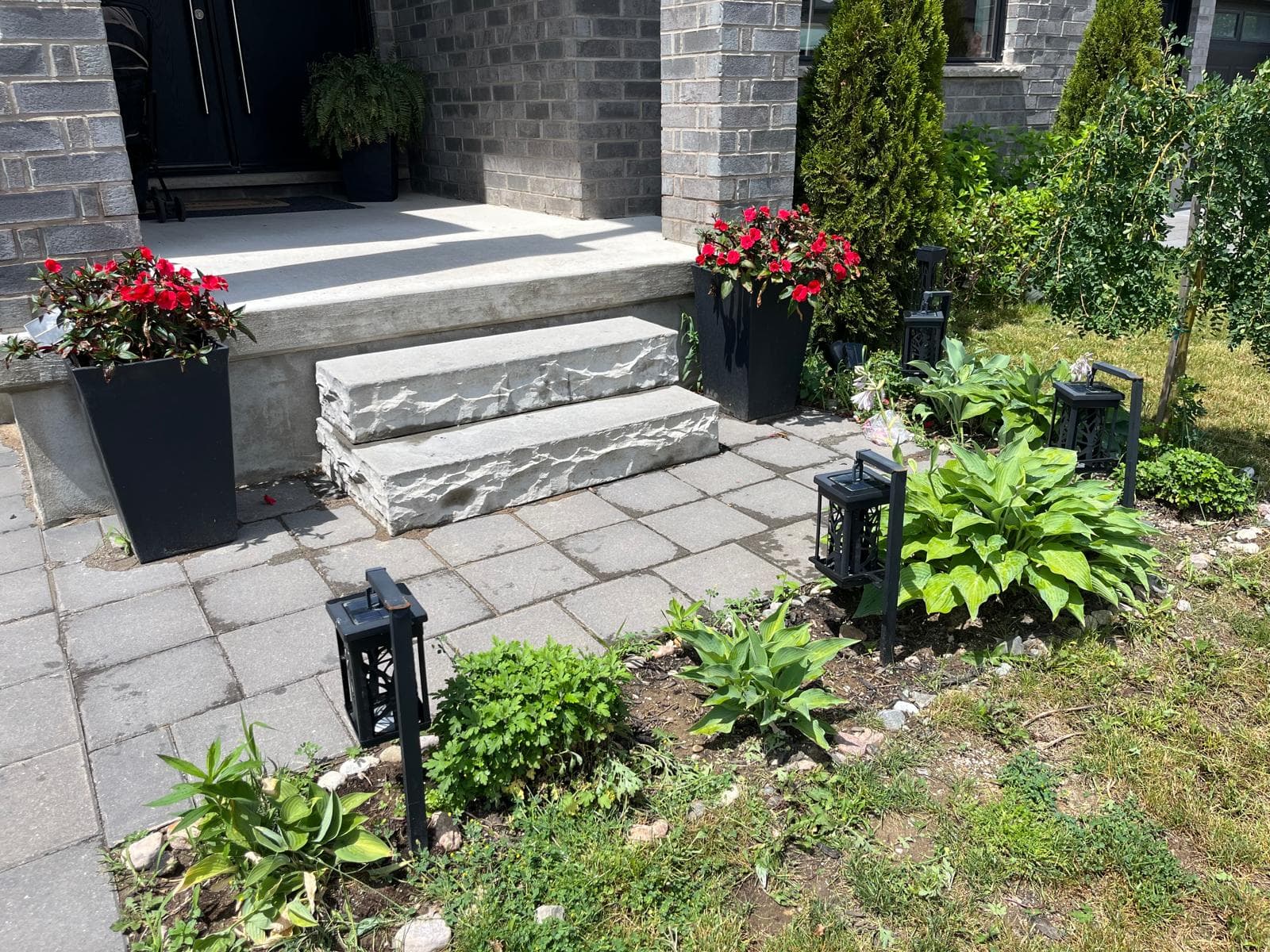 Front yard 1